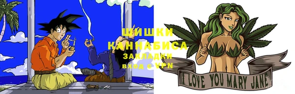 тгк Горнозаводск
