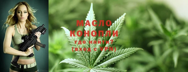 тгк Горнозаводск