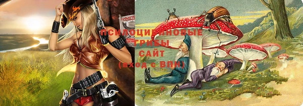 экстази Гусиноозёрск