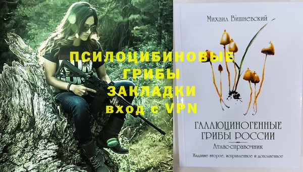 экстази Гусиноозёрск