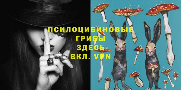 экстази Гусиноозёрск
